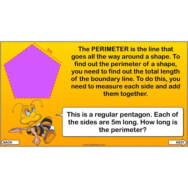 PlanBee Year 4 Properties of 2D Shapes KS2 Maths by PlanBee