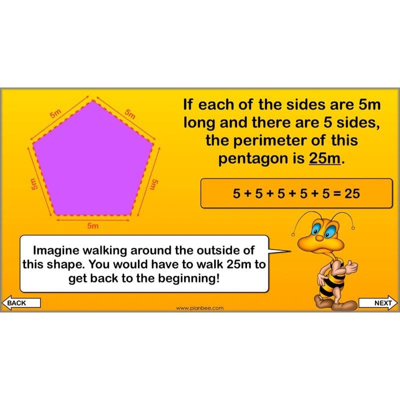 PlanBee Year 4 Properties of 2D Shapes KS2 Maths by PlanBee