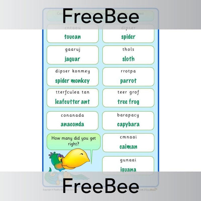 PlanBee Free Rainforest Anagrams | PlanBee FreeBees