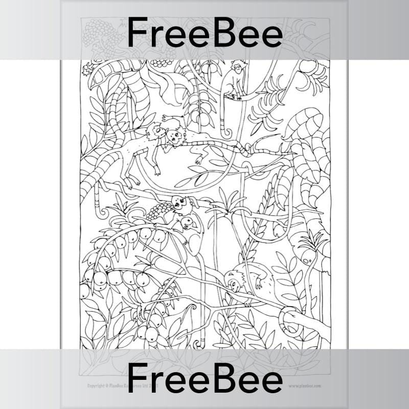 PlanBee Rainforest Art KS2 Mindfulness Colouring Pages by PlanBee