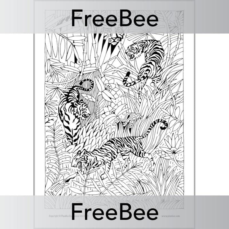 PlanBee Rainforest Art KS2 Mindfulness Colouring Pages by PlanBee