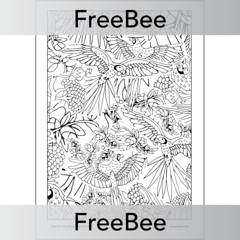 PlanBee Rainforest Art KS2 Mindfulness Colouring Pages by PlanBee