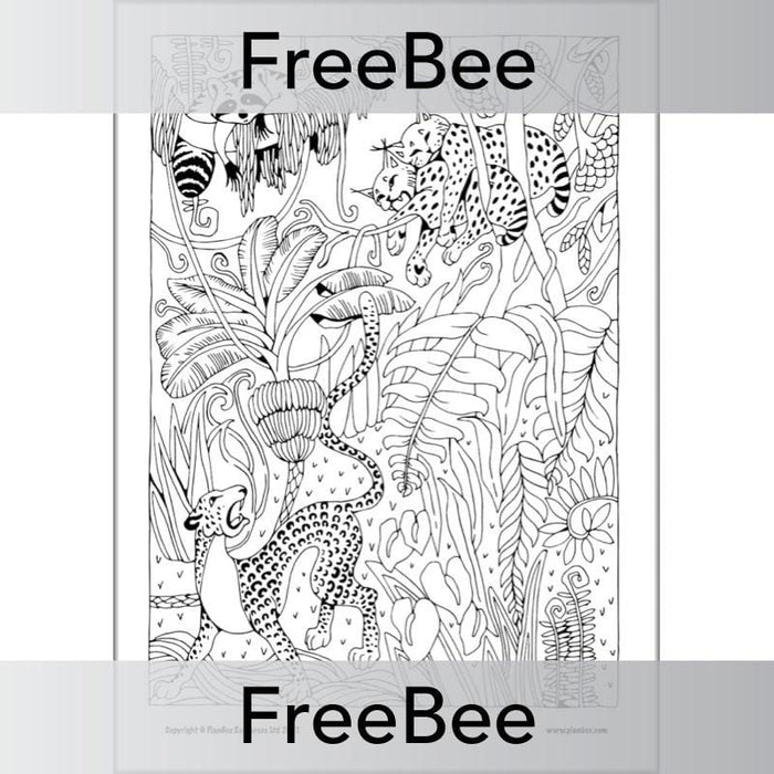 PlanBee Rainforest Art KS2 Mindfulness Colouring Pages by PlanBee