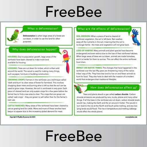PlanBee FREE What is Deforestation? KS2 Information Sheet