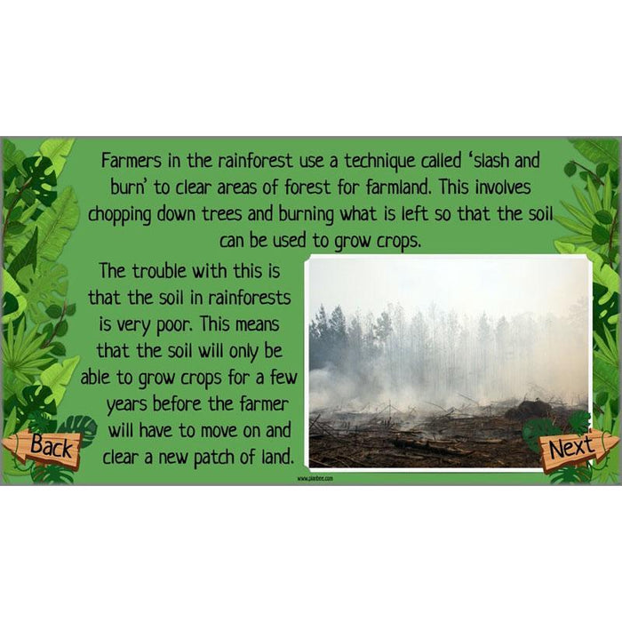 PlanBee Rainforest Topic KS2 Planning and Resources by PlanBee