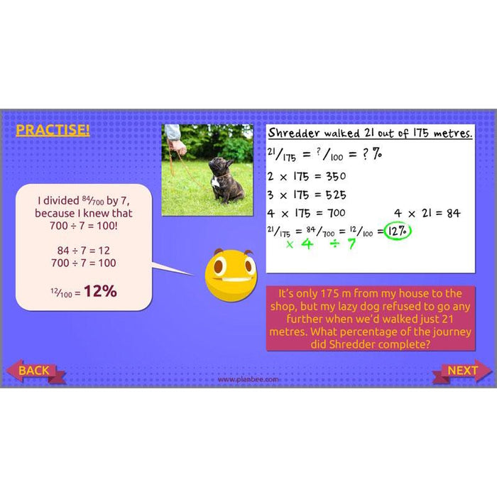 PlanBee Ratio, Percentages and Proportion: Year 6 Maths