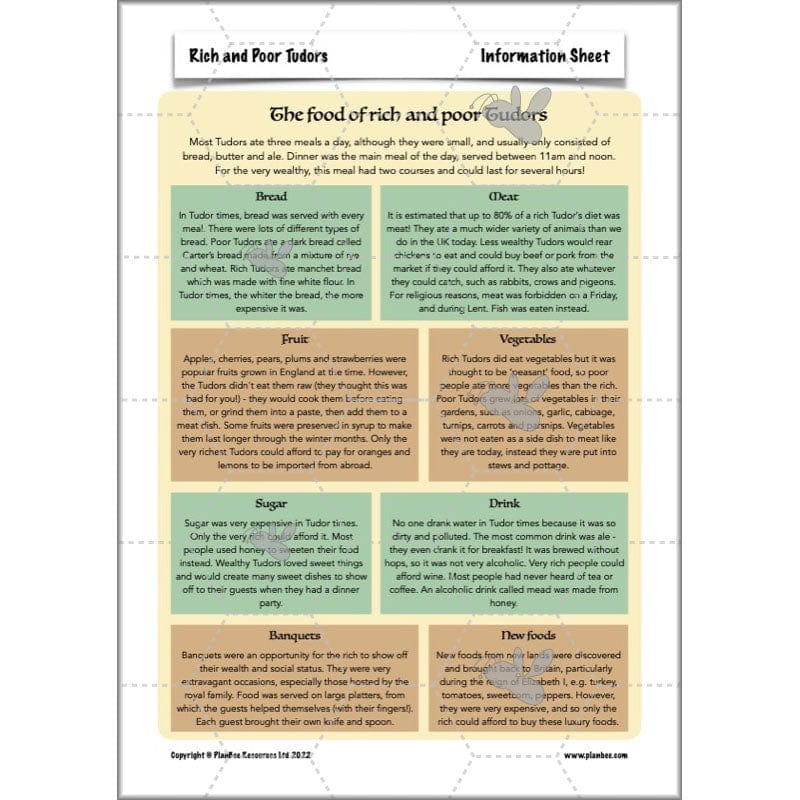 PlanBee Rich and Poor Tudors | PlanBee Tudor History Lessons for KS2