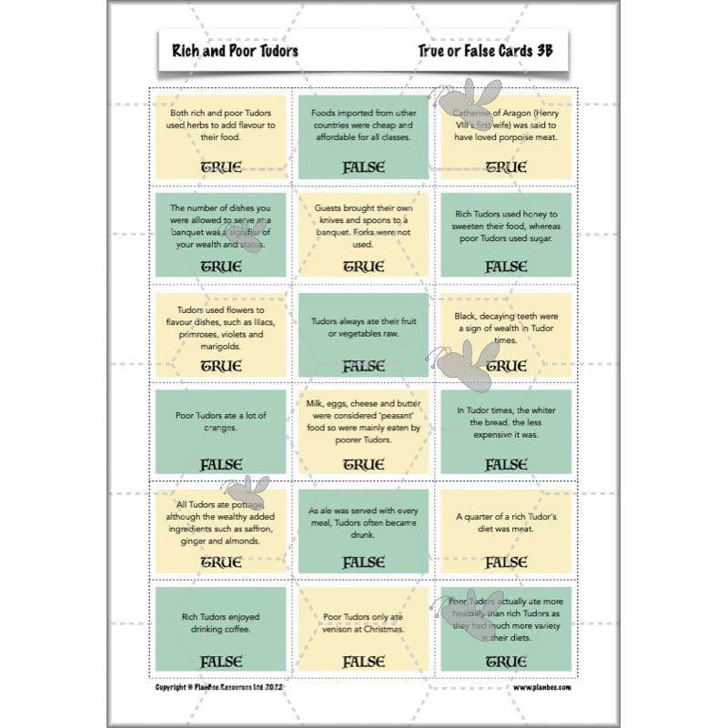 PlanBee Rich and Poor Tudors | PlanBee Tudor History Lessons for KS2
