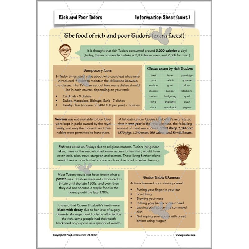 PlanBee Rich and Poor Tudors | PlanBee Tudor History Lessons for KS2
