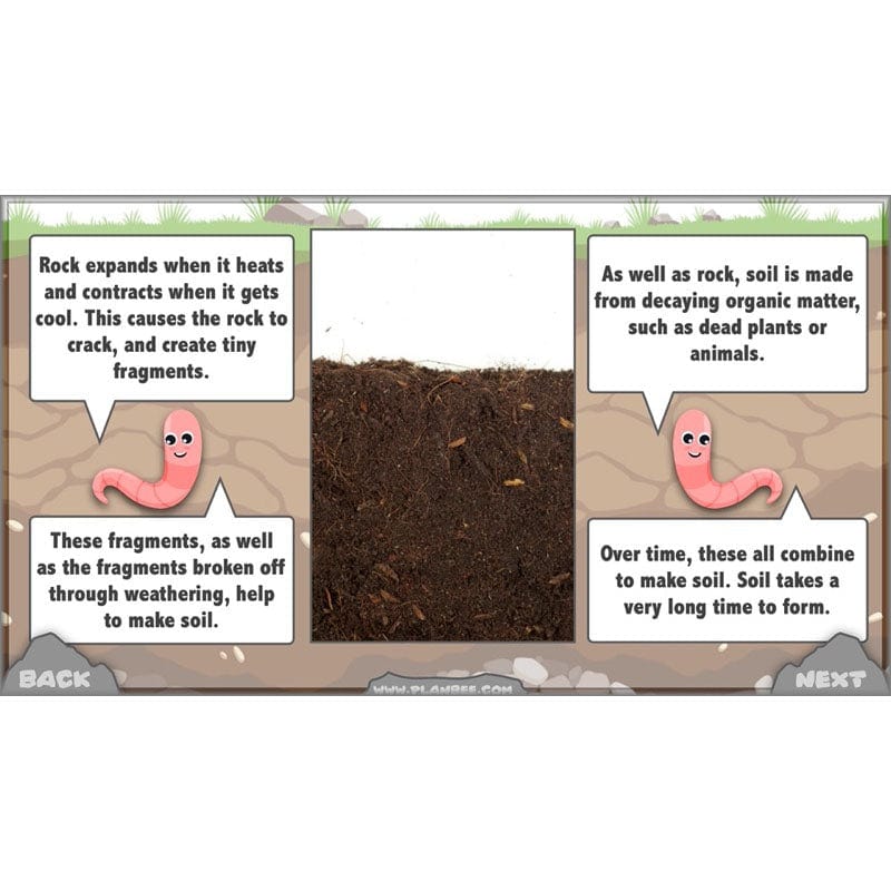 PlanBee Year 3 Rocks, Fossils and Soils | PlanBee Science Planning