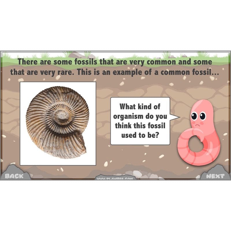 PlanBee Year 3 Rocks, Fossils and Soils | PlanBee Science Planning