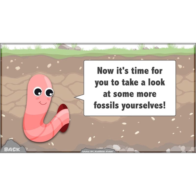 PlanBee Year 3 Rocks, Fossils and Soils | PlanBee Science Planning