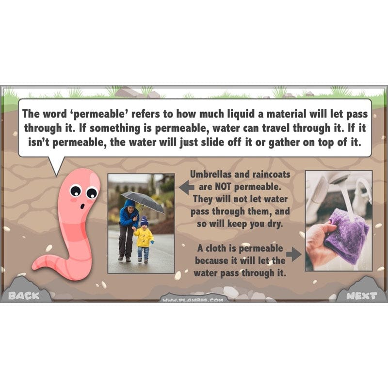 PlanBee Year 3 Rocks, Fossils and Soils | PlanBee Science Planning