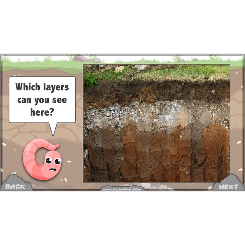 PlanBee Year 3 Rocks, Fossils and Soils | PlanBee Science Planning