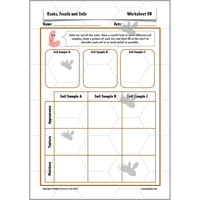 PlanBee Year 3 Rocks, Fossils and Soils | PlanBee Science Planning