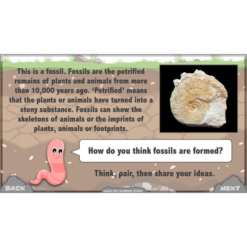 PlanBee Year 3 Rocks, Fossils and Soils | PlanBee Science Planning