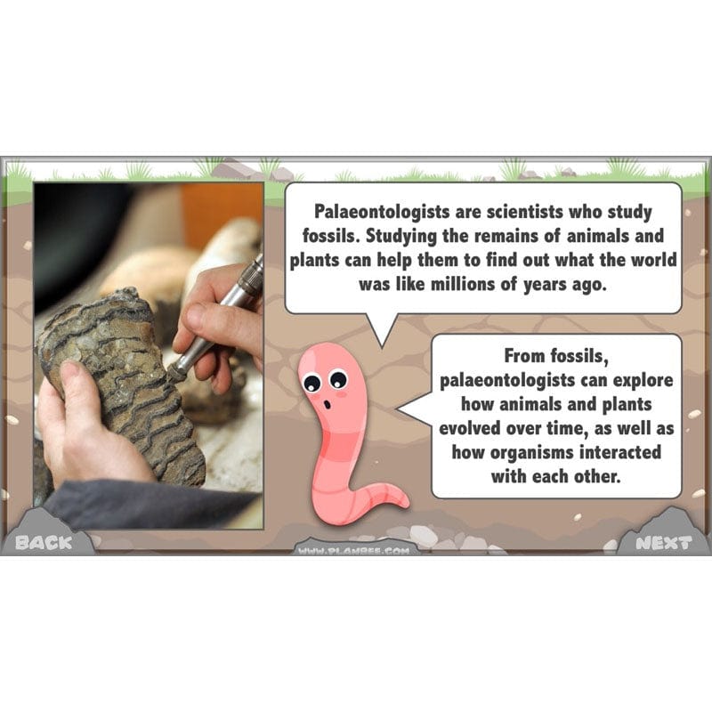 PlanBee Year 3 Rocks, Fossils and Soils | PlanBee Science Planning