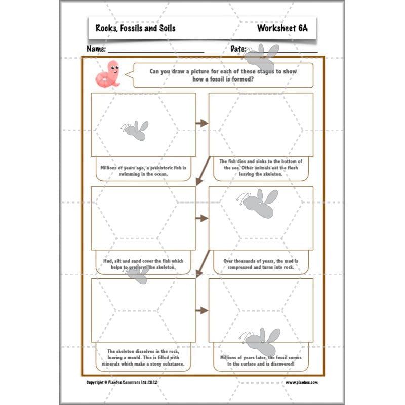 PlanBee Year 3 Rocks, Fossils and Soils | PlanBee Science Planning