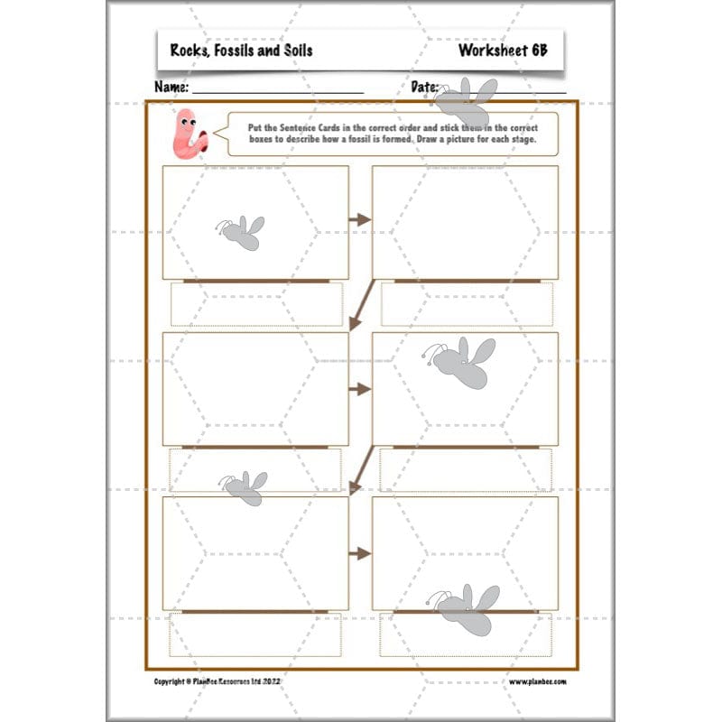 PlanBee Year 3 Rocks, Fossils and Soils | PlanBee Science Planning