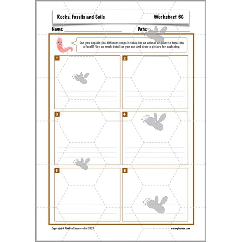 PlanBee Year 3 Rocks, Fossils and Soils | PlanBee Science Planning