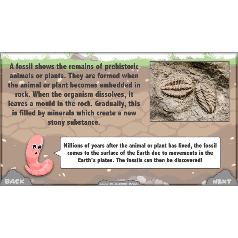 PlanBee Year 3 Rocks, Fossils and Soils | PlanBee Science Planning