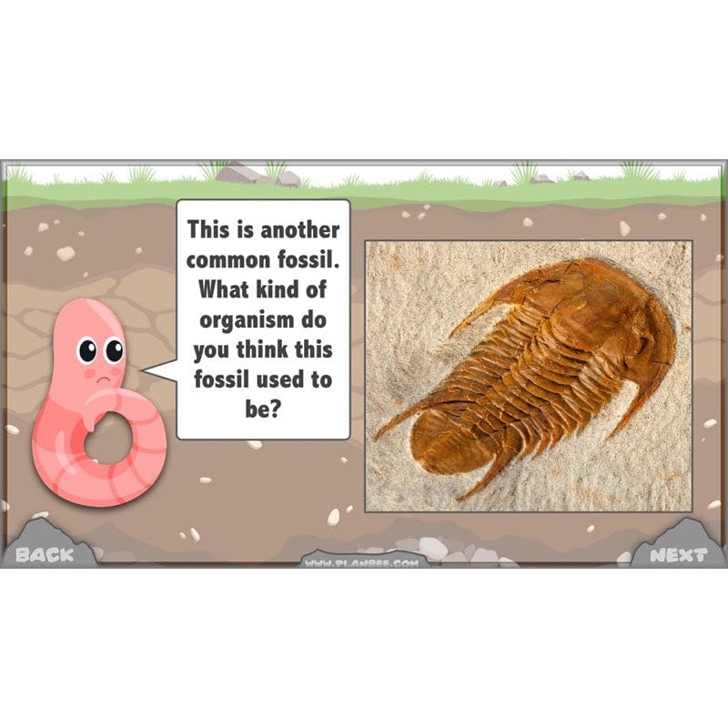 PlanBee Year 3 Rocks, Fossils and Soils | PlanBee Science Planning