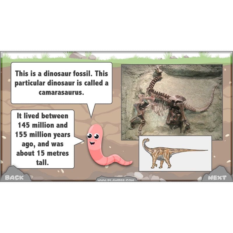 PlanBee Year 3 Rocks, Fossils and Soils | PlanBee Science Planning