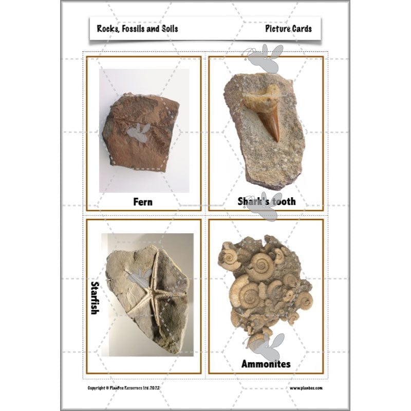PlanBee Year 3 Rocks, Fossils and Soils | PlanBee Science Planning