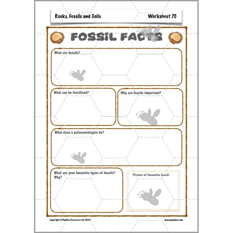 PlanBee Year 3 Rocks, Fossils and Soils | PlanBee Science Planning