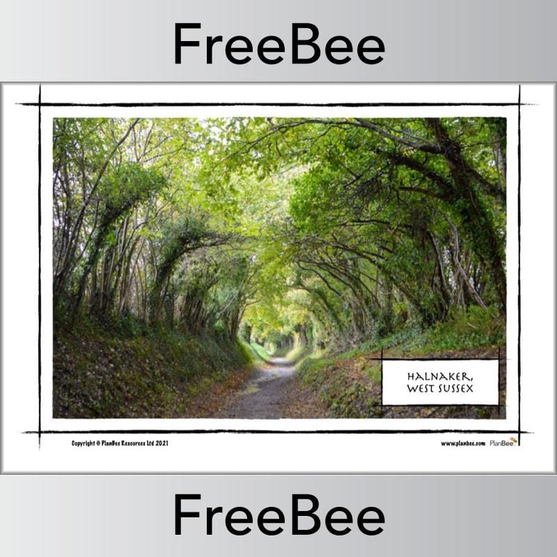 Roman Roads KS2 Map and Images by PlanBee