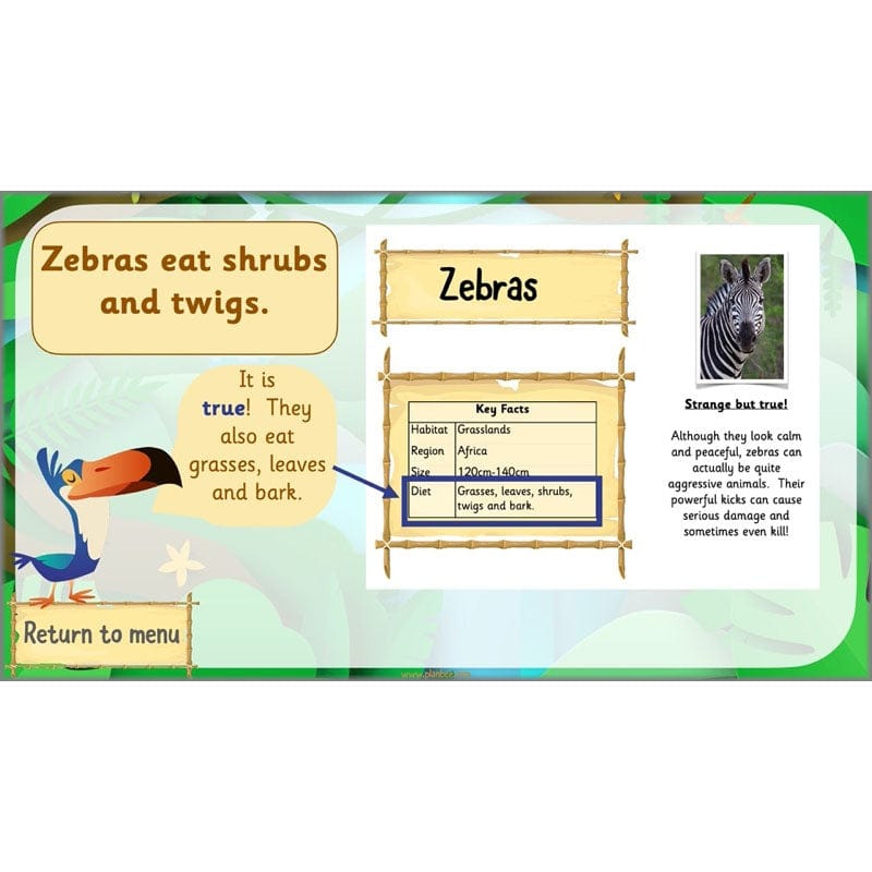 PlanBee Rumble in the Jungle Year 2 animal poetry lessons by Planbee