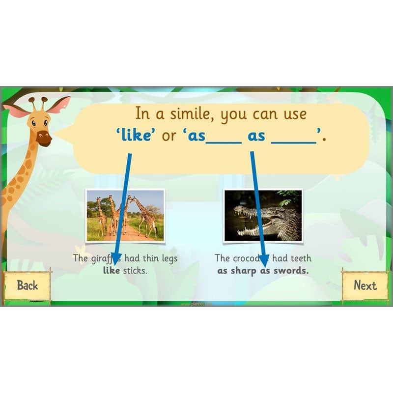 PlanBee Rumble in the Jungle Year 2 animal poetry lessons by Planbee