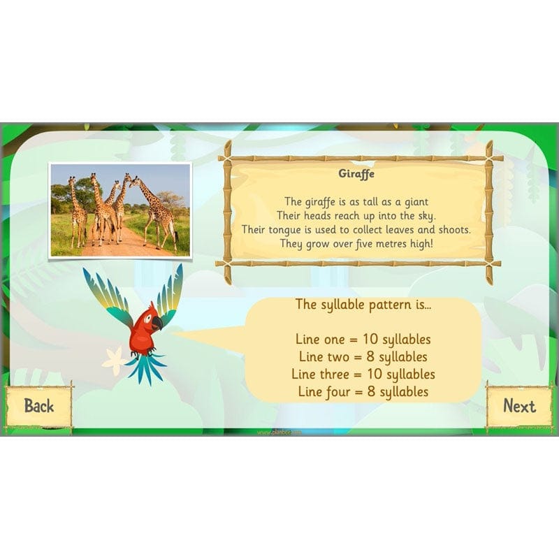 PlanBee Rumble in the Jungle Year 2 animal poetry lessons by Planbee
