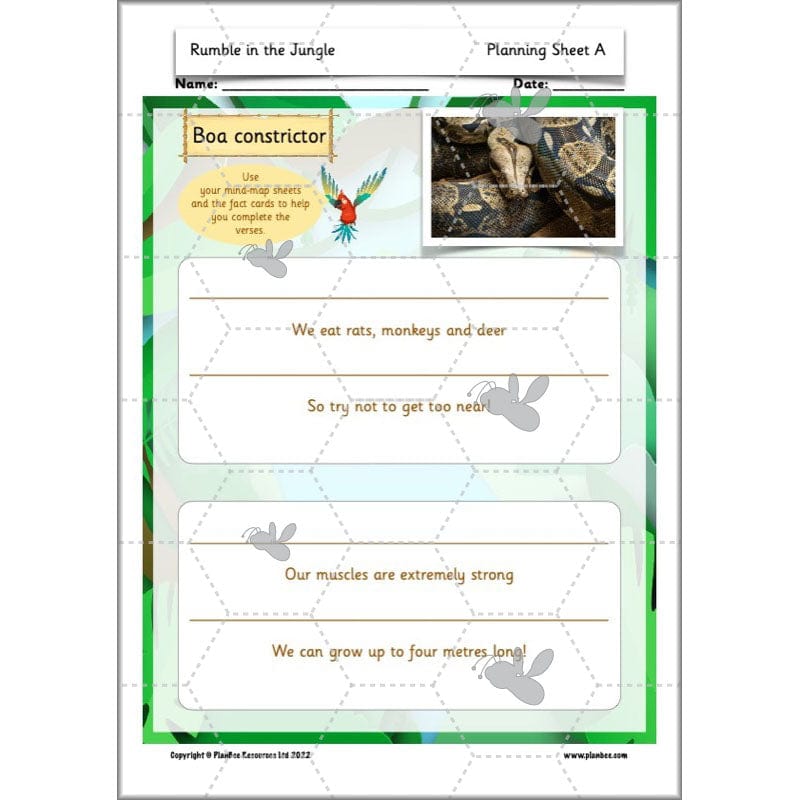 PlanBee Rumble in the Jungle Year 2 animal poetry lessons by Planbee