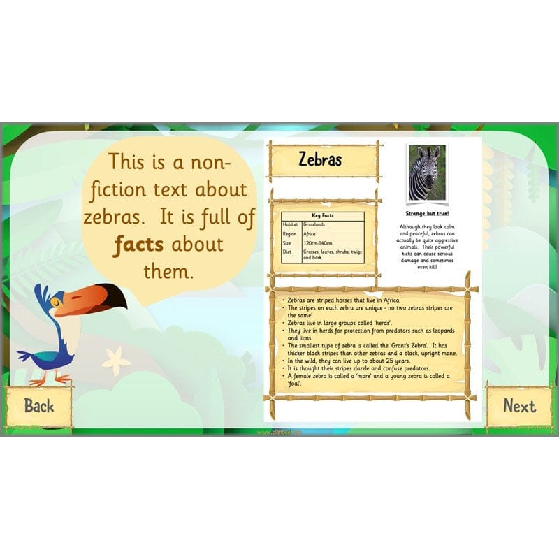 PlanBee Rumble in the Jungle Year 2 animal poetry lessons by Planbee