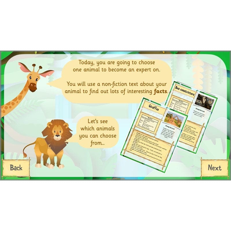 PlanBee Rumble in the Jungle Year 2 animal poetry lessons by Planbee