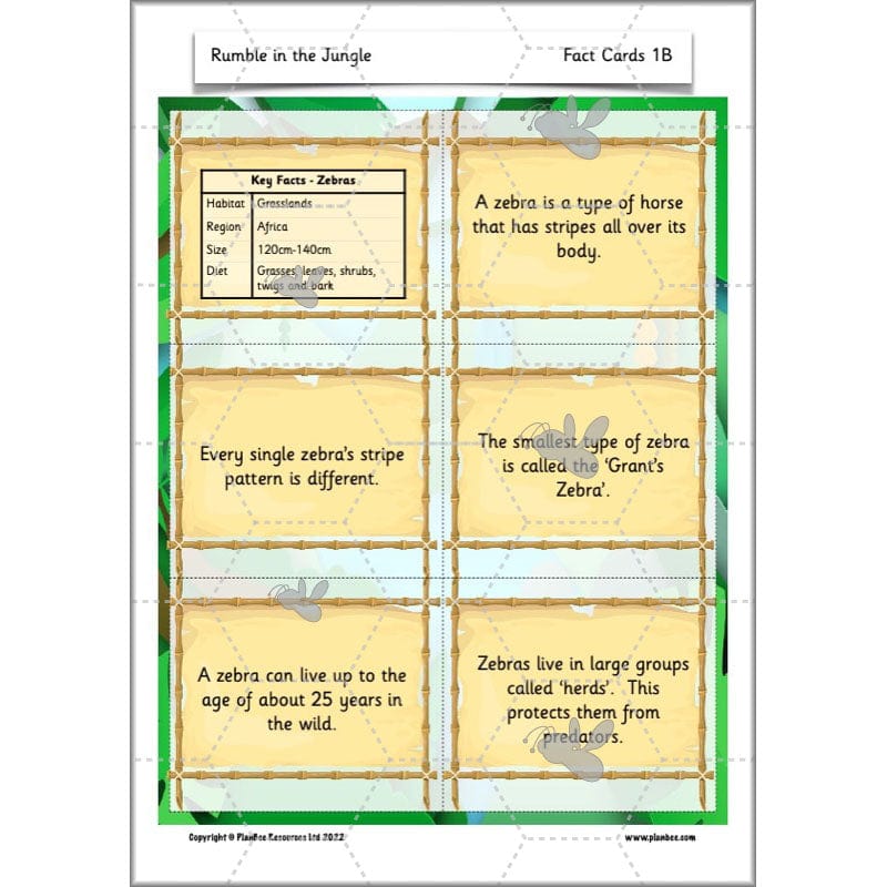 PlanBee Rumble in the Jungle Year 2 animal poetry lessons by Planbee