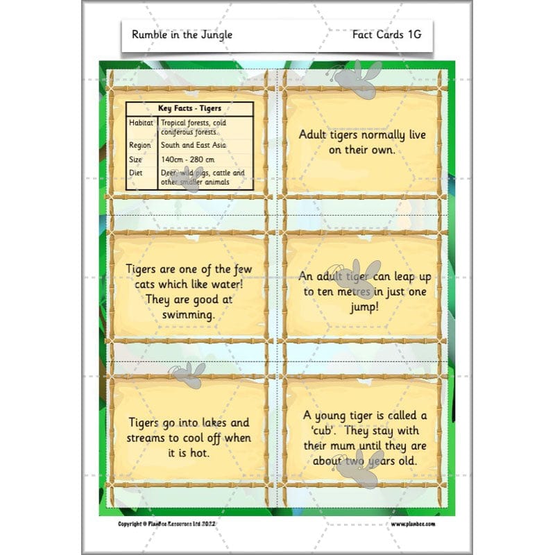 PlanBee Rumble in the Jungle Year 2 animal poetry lessons by Planbee