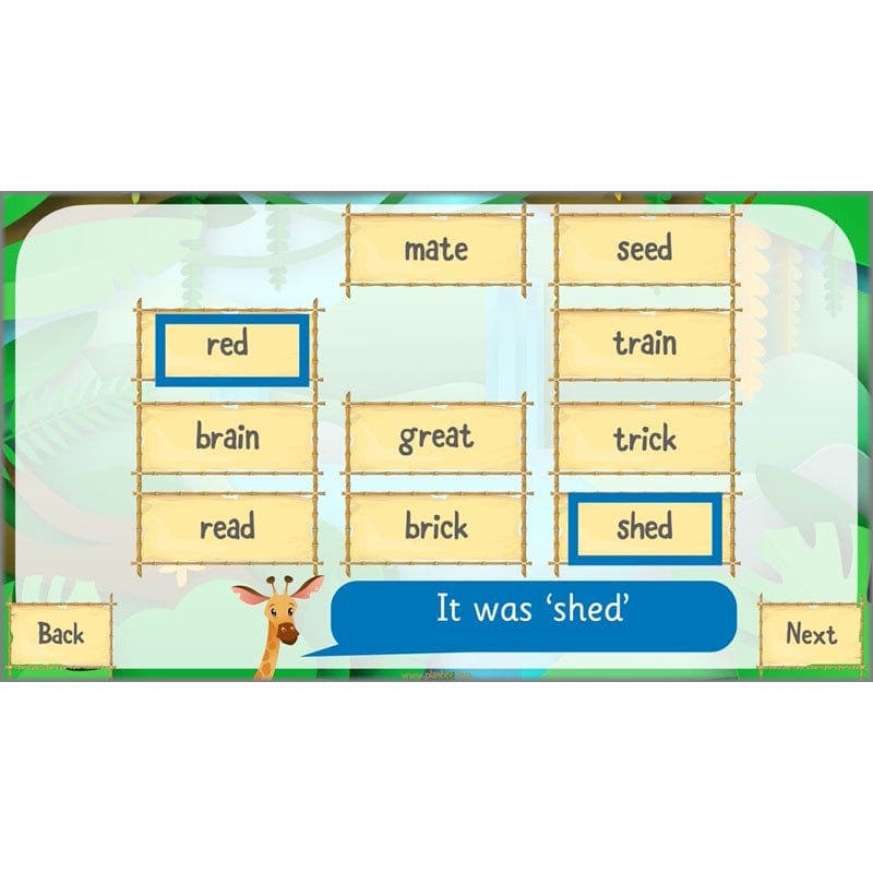 PlanBee Rumble in the Jungle Year 2 animal poetry lessons by Planbee