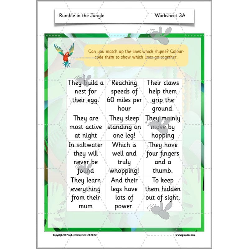 PlanBee Rumble in the Jungle Year 2 animal poetry lessons by Planbee