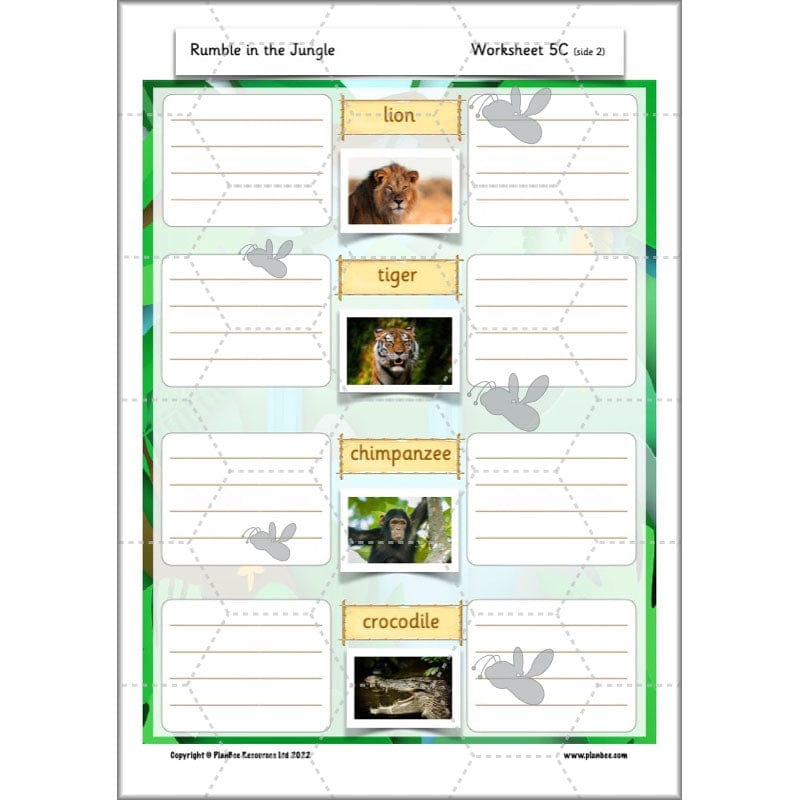 PlanBee Rumble in the Jungle Year 2 animal poetry lessons by Planbee