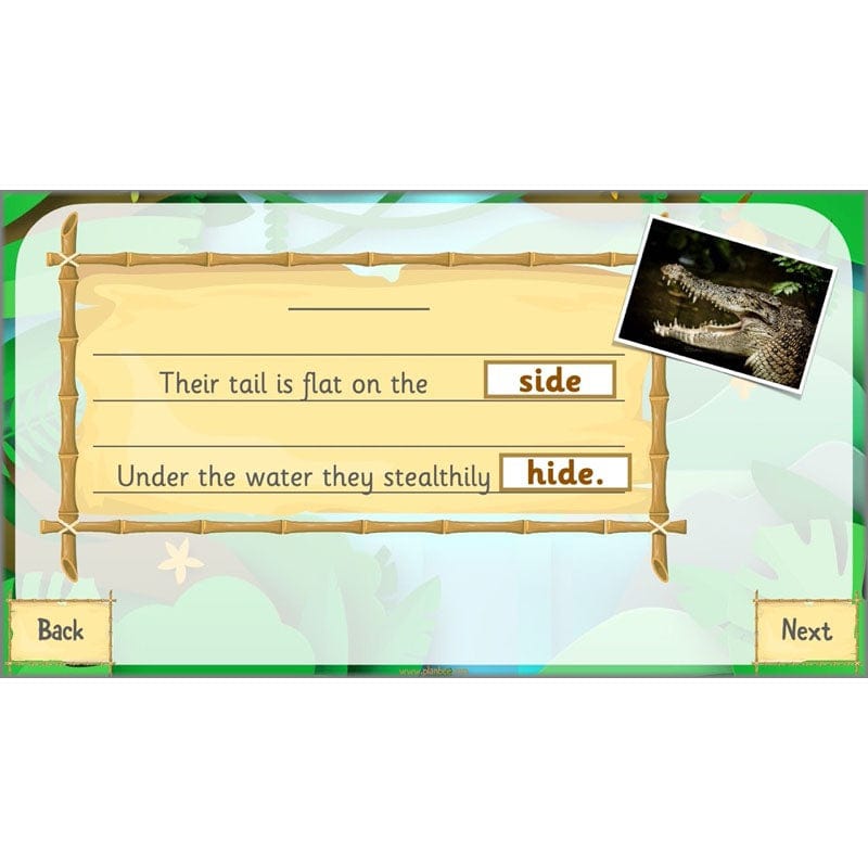 PlanBee Rumble in the Jungle Year 2 animal poetry lessons by Planbee