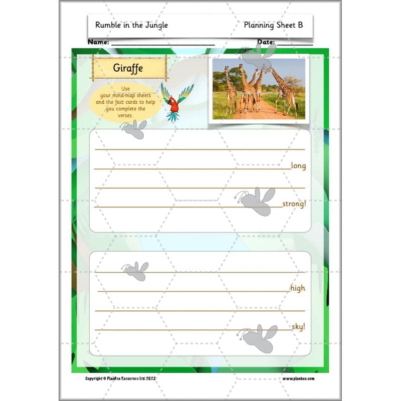 PlanBee Rumble in the Jungle Year 2 animal poetry lessons by Planbee