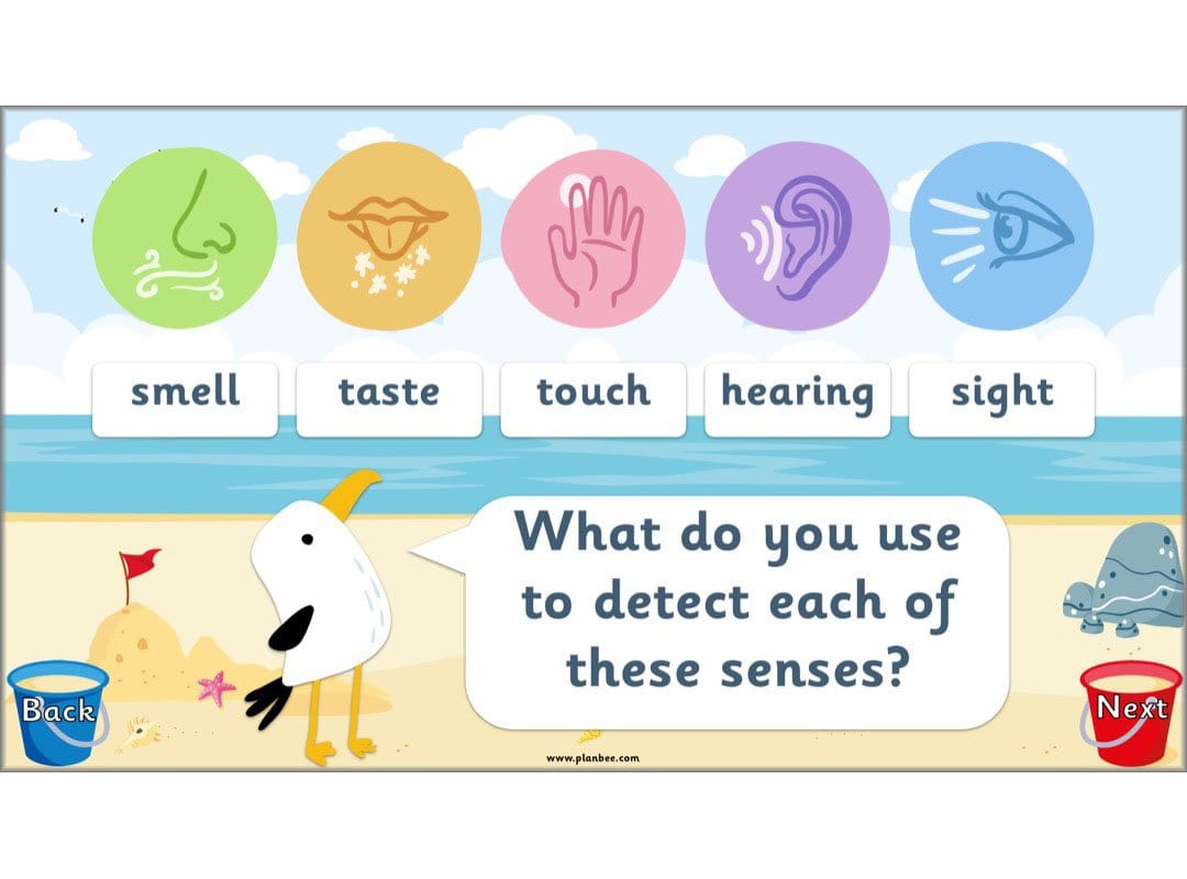 PlanBee Seaside Poetry KS1 | Year 1/2 English Lessons | PlanBee