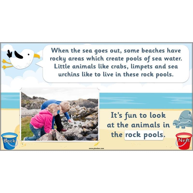 PlanBee Recounts Year 1 and Year 2 | Seaside Planning by PlanBee