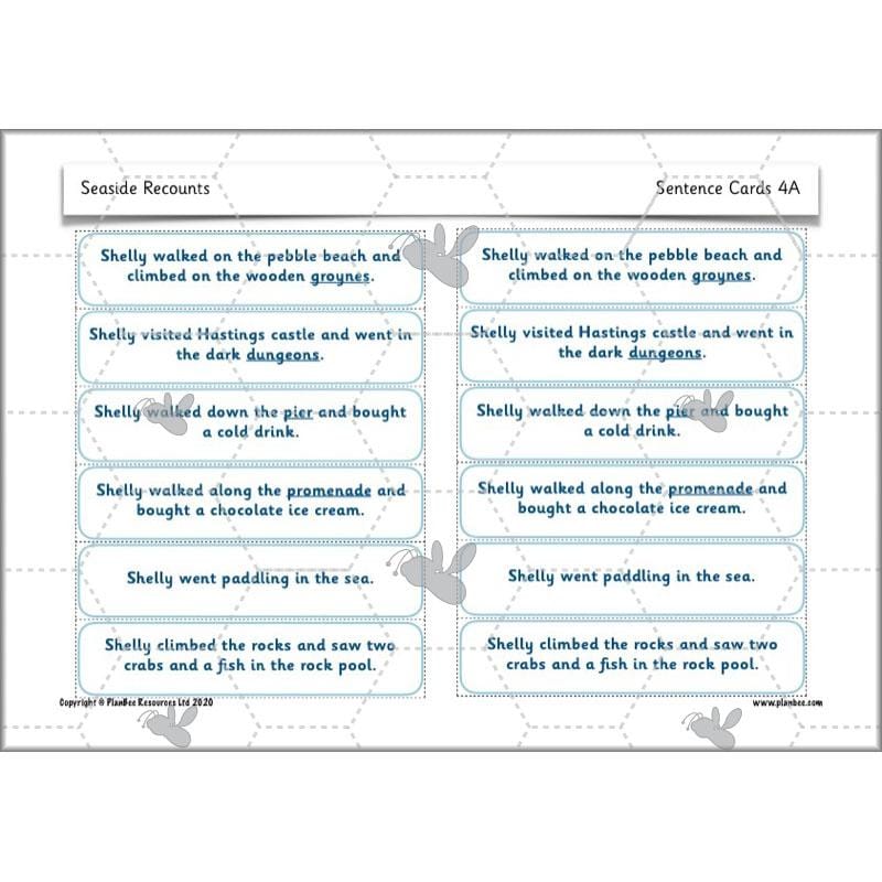 PlanBee Recounts Year 1 and Year 2 | Seaside Planning by PlanBee