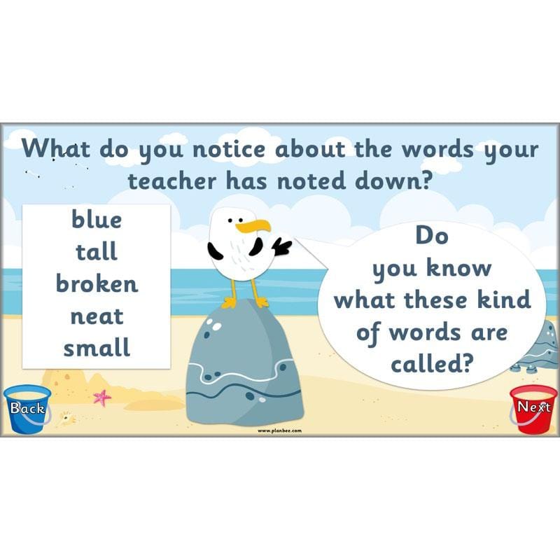 PlanBee Recounts Year 1 and Year 2 | Seaside Planning by PlanBee