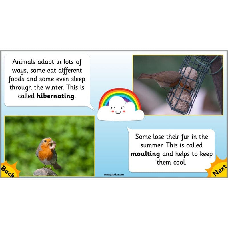 Seasonal Changes Year 1 Science Lesson Plans for KS1 — PlanBee