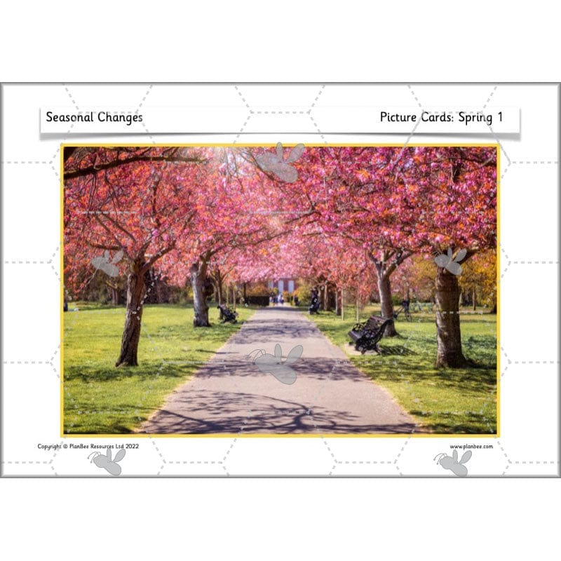 PlanBee Seasonal Changes Year 1 Science Lesson Plans for KS1