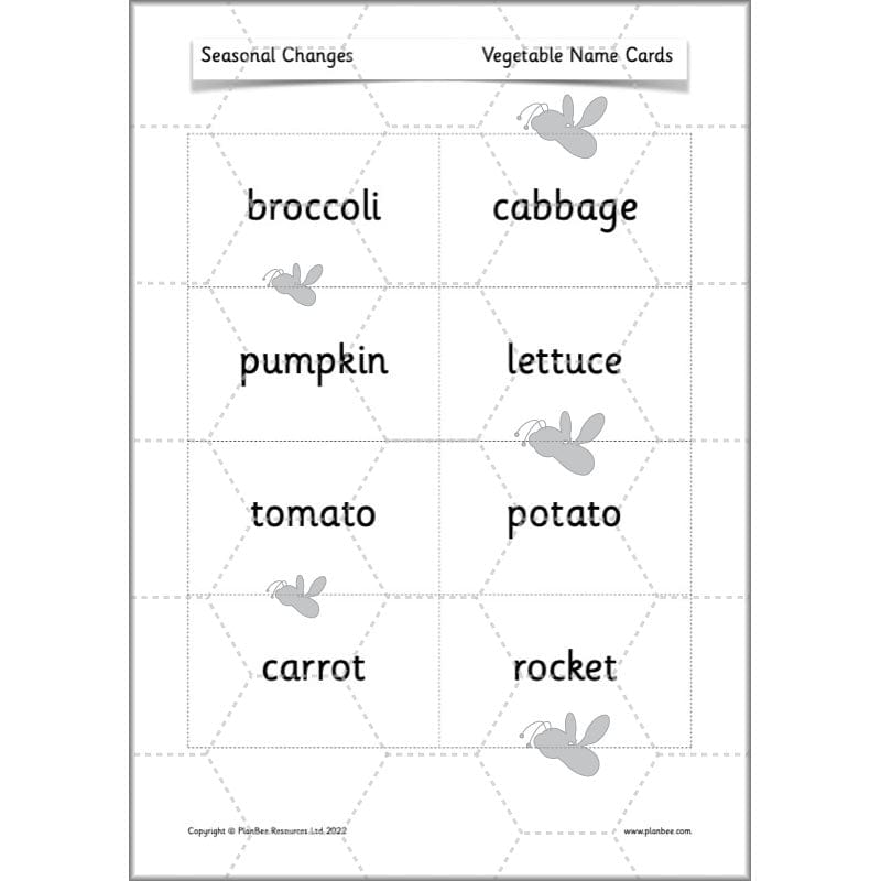 PlanBee Seasonal Changes Year 1 Science Lesson Plans for KS1